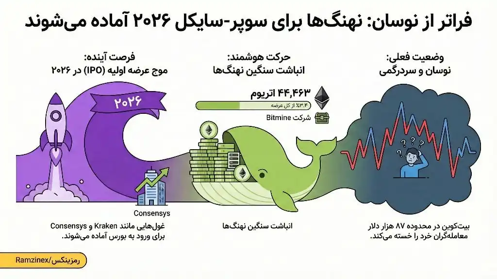اینفوگرافی وضعیت بازار کریپتو در 2026