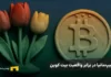 چرا افسانه تولیپمانیا در برابر واقعیت بیت کوین کم میآورد؟ تولیپمانیا در برابر واقعیت بیت کوین