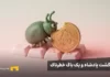 بیت کوین ۹۴ هزار دلاری و یک باگ مرگبار: مراقب این بهروزرسانی باشید! حشره ای در حال خوردن بیت کوین