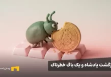 بیت کوین ۹۴ هزار دلاری و یک باگ مرگبار: مراقب این بهروزرسانی باشید! حشره ای در حال خوردن بیت کوین