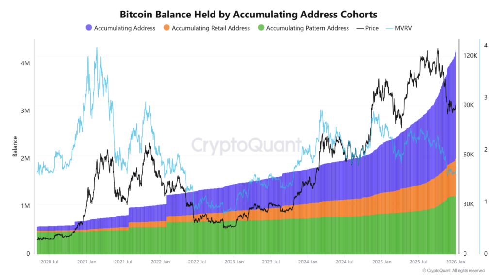 نمودار دارایی آدرس‌های انباشت‌کننده بیت کوین