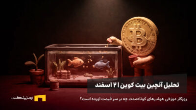 بیت کوین به ماهی ها غذا می‌دهد