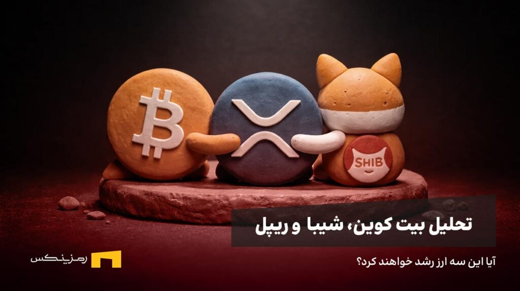 شیبا و ریپل و بیت کوین یکدیگر را بغل کرده‌اند.