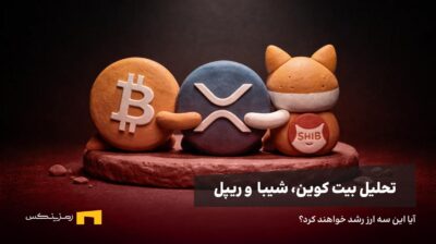 شیبا و ریپل و بیت کوین یکدیگر را بغل کرده‌اند.