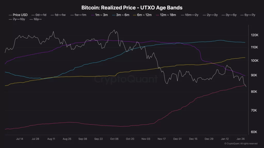 نمودار قیمت خریداران بیت کوین بر اساس زمانی که بیت کوین را هولد کرده‌اند، ۱۲ بهمن ۱۴۰۴