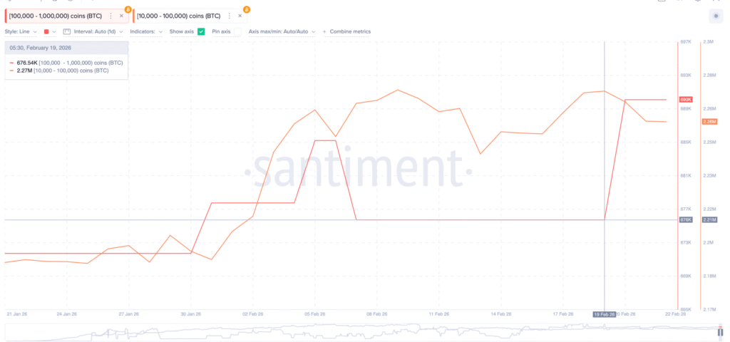 رفتار نهنگ‌های بیت کوین در ۳ اسفند ۱‍۴۰۴