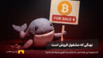 نهنگی که دست از فروش بر نمیدارد؛ آیا بیت کوین شکست خورد؟