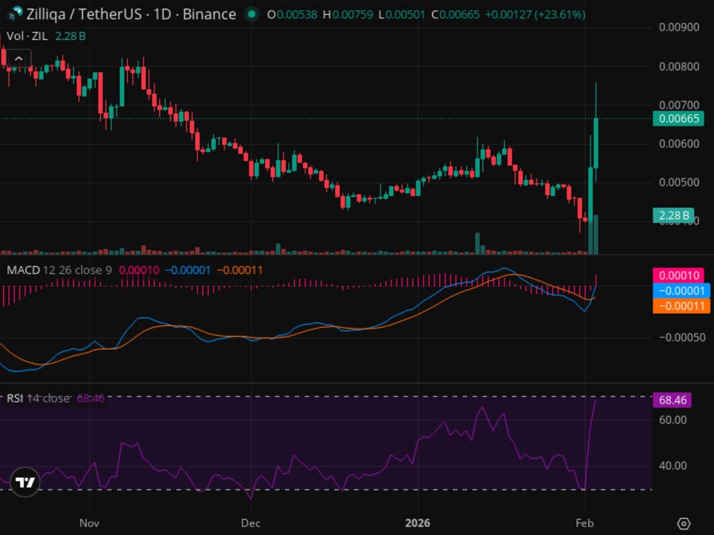 نمودار ارز زیلیکا ۱۴ بهمن ۱۴۰۴